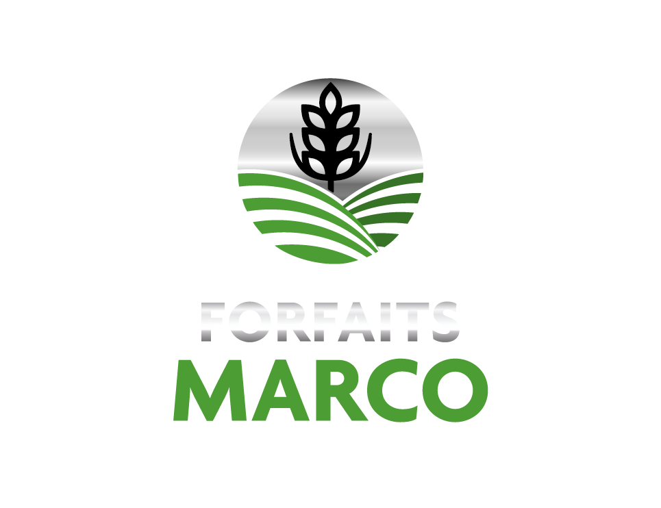 logo-fm-01